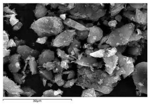 Preparation method of natural microcrystalline graphite negative electrode material, negative electrode material and application