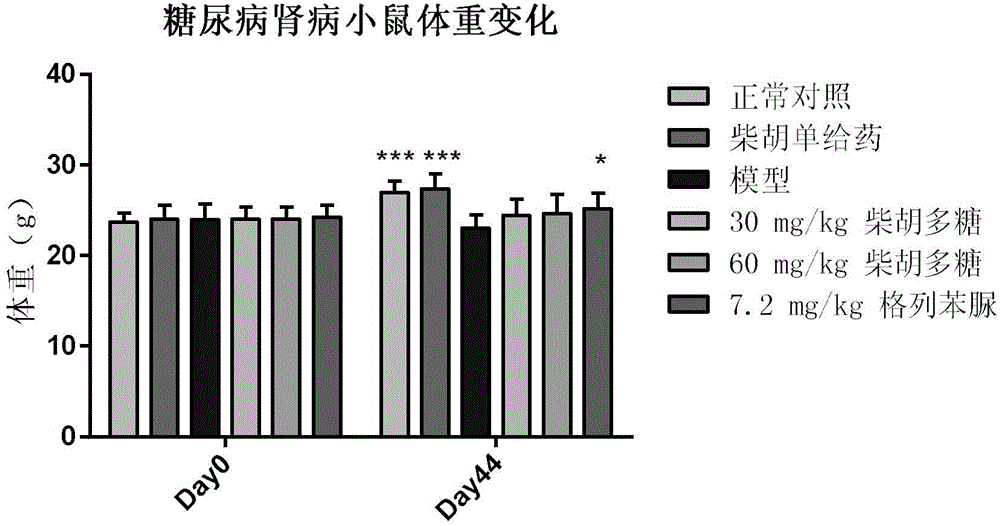 Application of bupleurum polysaccharide in preparation of drugs used for preventing and treating diabetic nephropathy