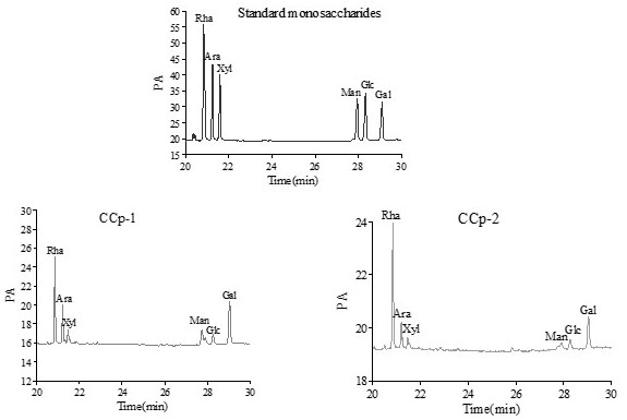 A kind of blood coagulation-promoting redbud flower polysaccharide and its extraction and separation method and application