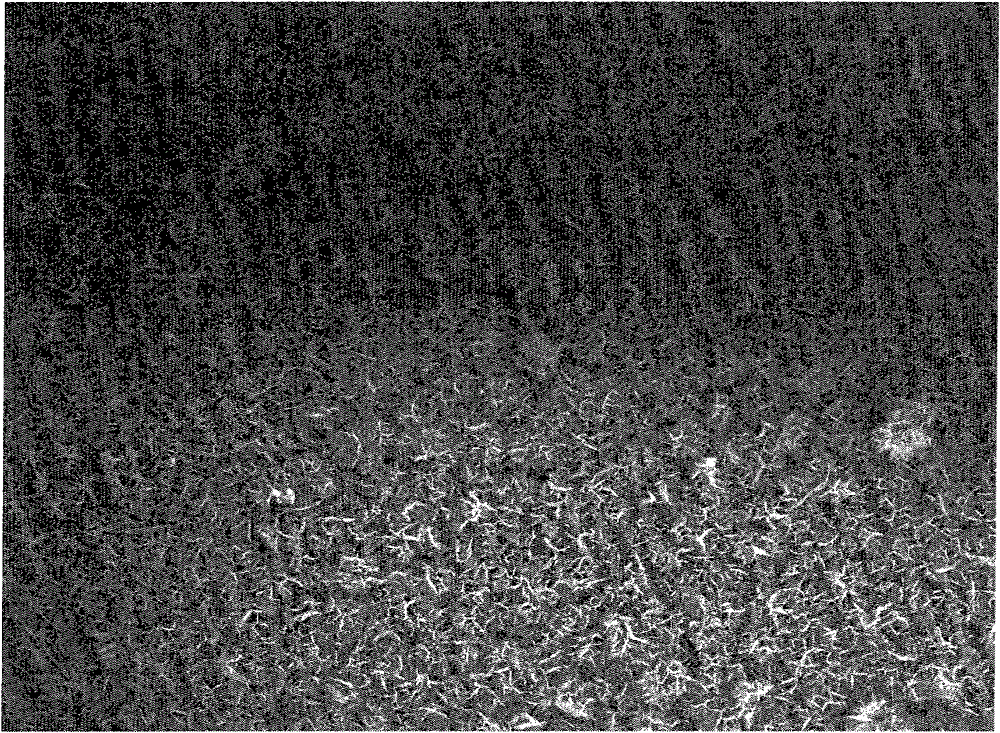 Carbon-based nano novel field electron emission material in areatus layered structure and preparation method thereof