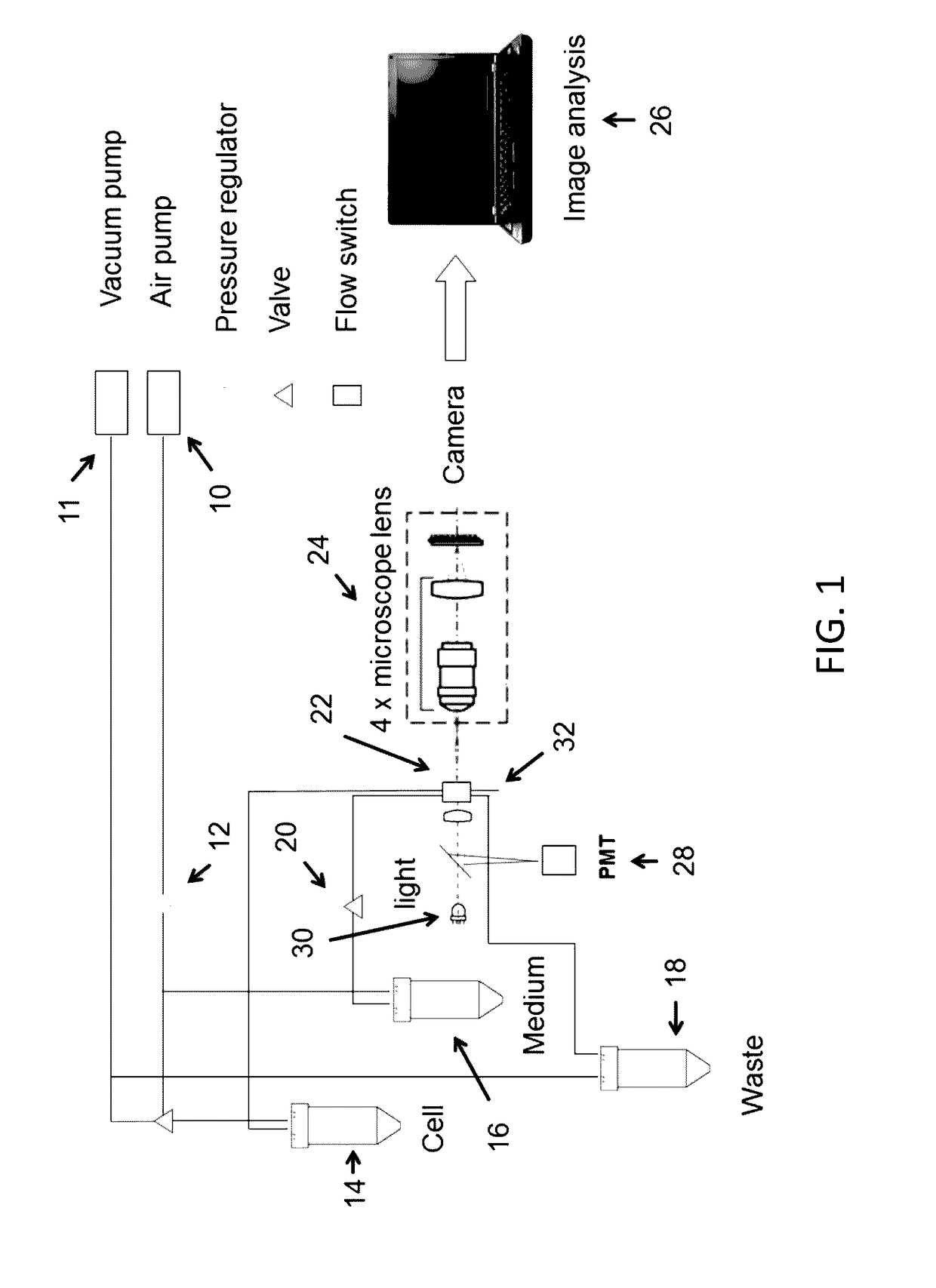 Method and apparatus for bulk microparticle sorting using a microfluidic channel