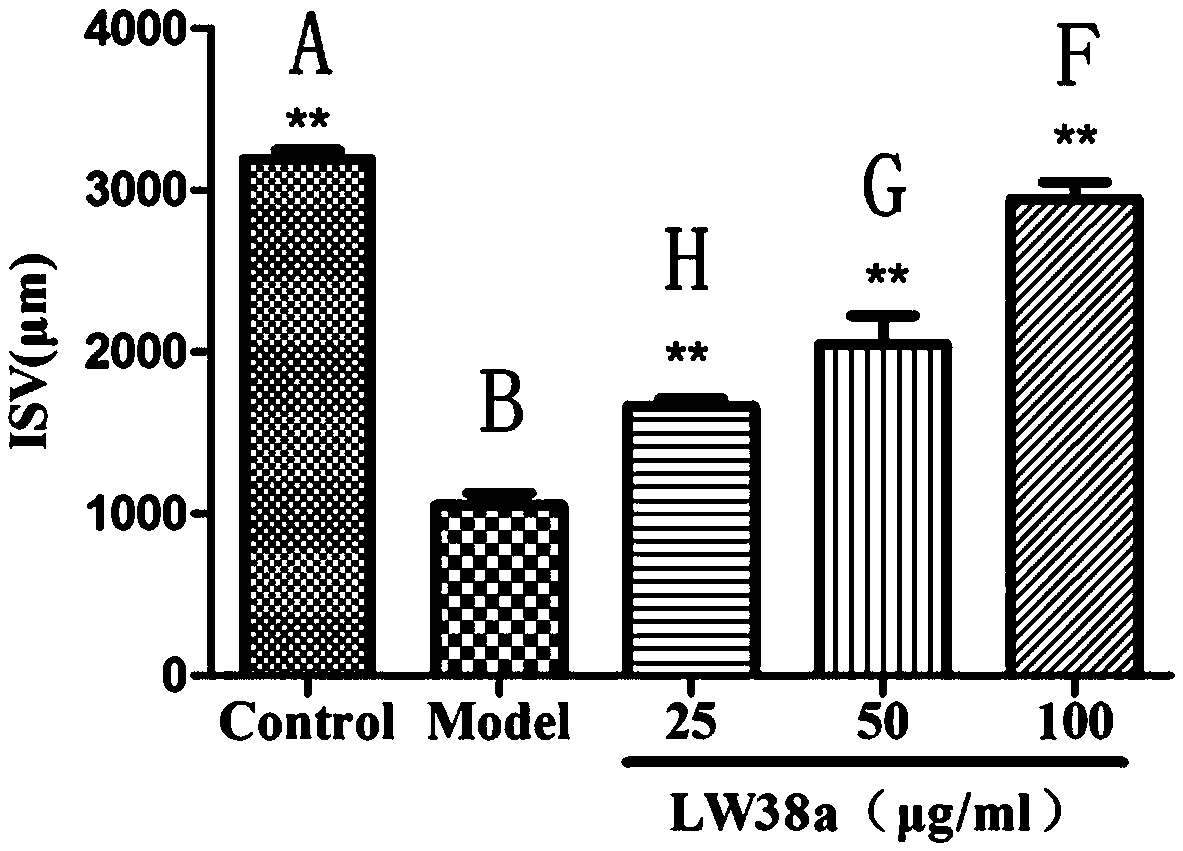 Application of Two Halophenol Compounds in Promoting Angiogenesis