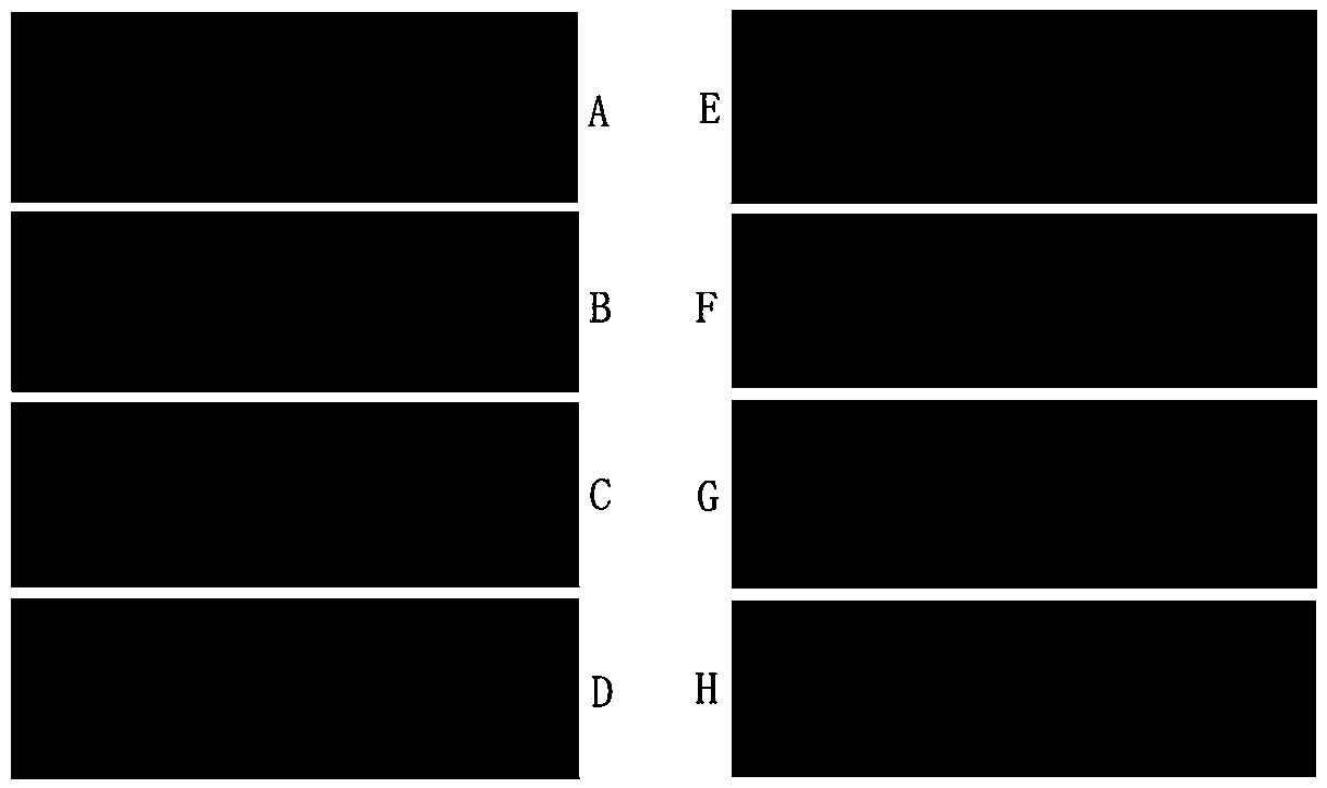 Application of Two Halophenol Compounds in Promoting Angiogenesis