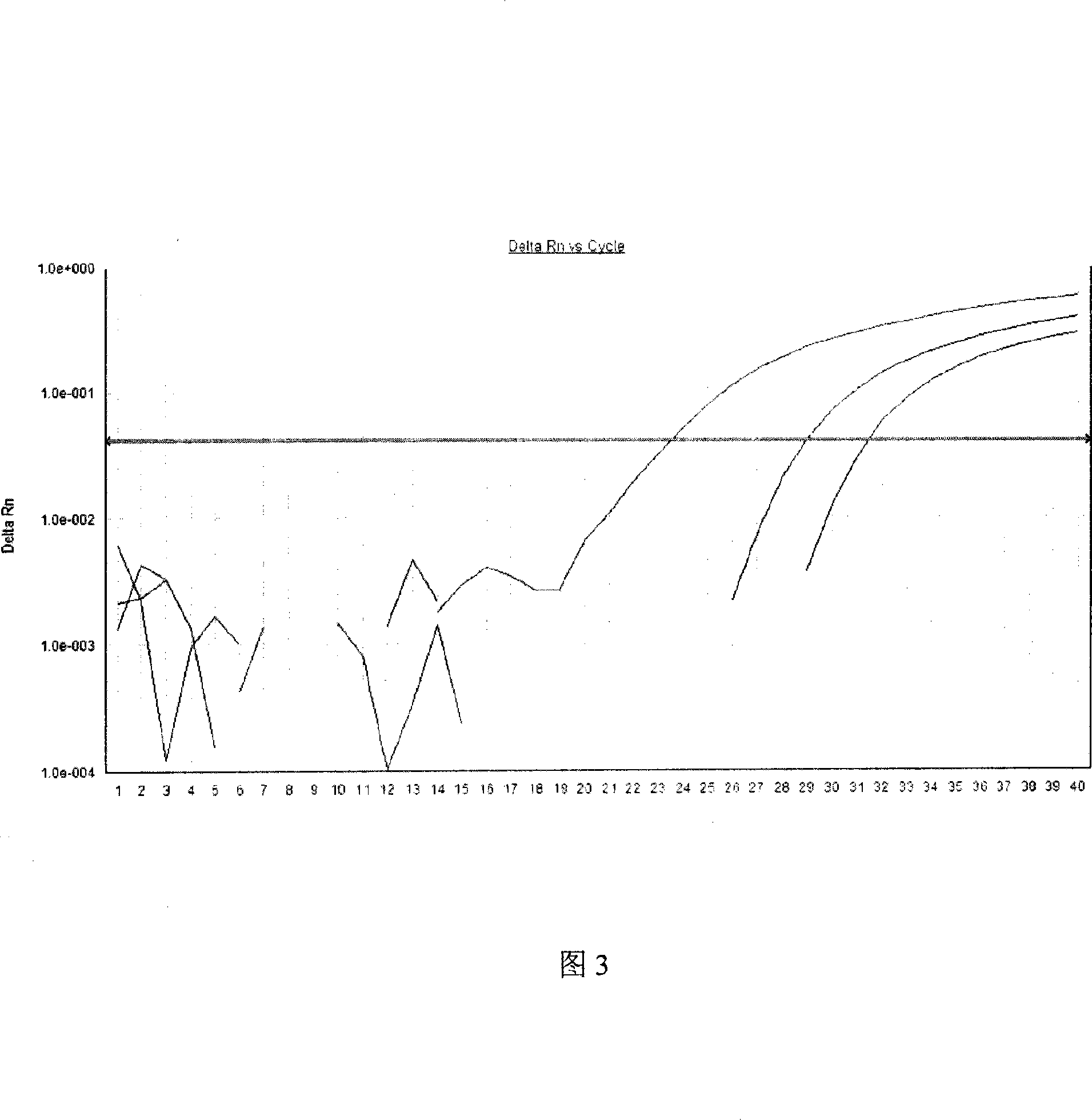 Skeletonema costatum PCNA gene detecting method