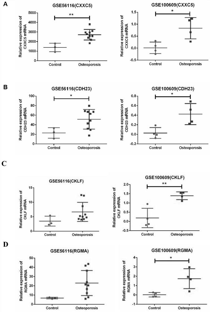 Postmenopausal osteoporosis related gene screening and function analysis method