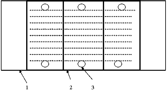 Modifying glass slide for fixing biomacromolecules and method thereof