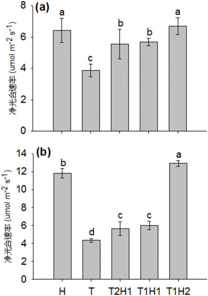 Method for manufacturing compost tea with lawn grass and application of compost tea