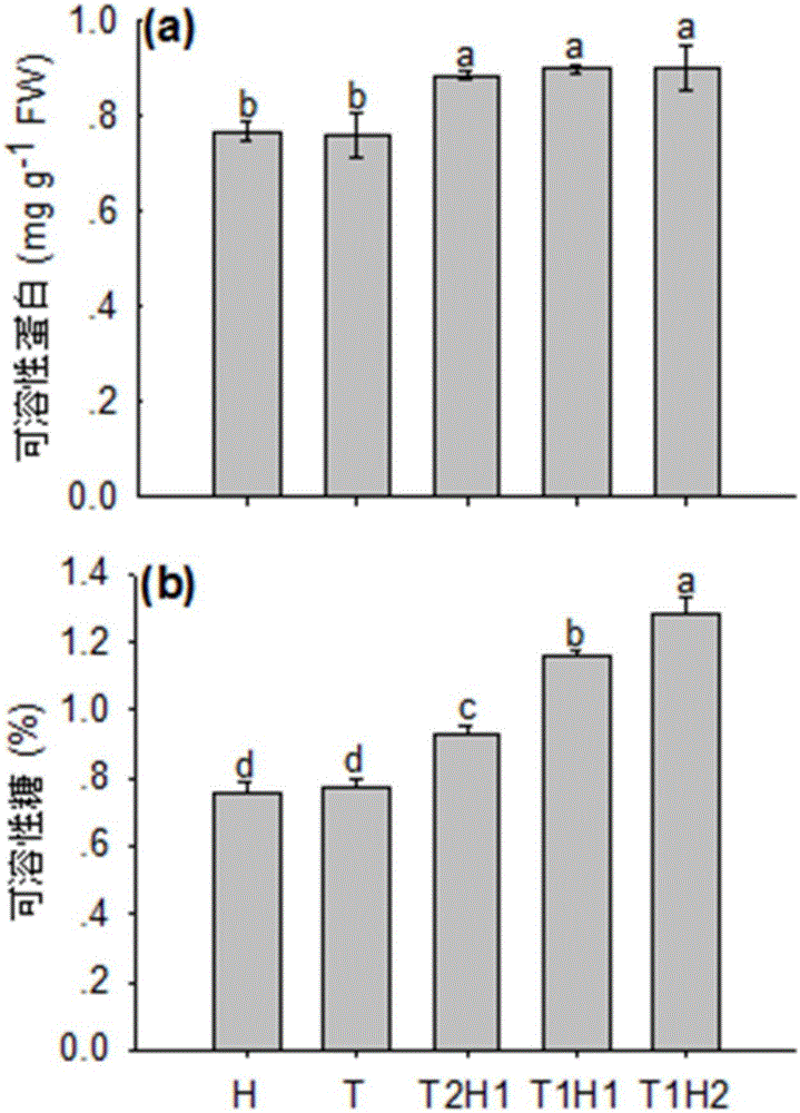 Method for manufacturing compost tea with lawn grass and application of compost tea