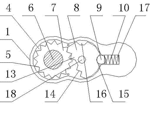 Special bolt driver for bone screw