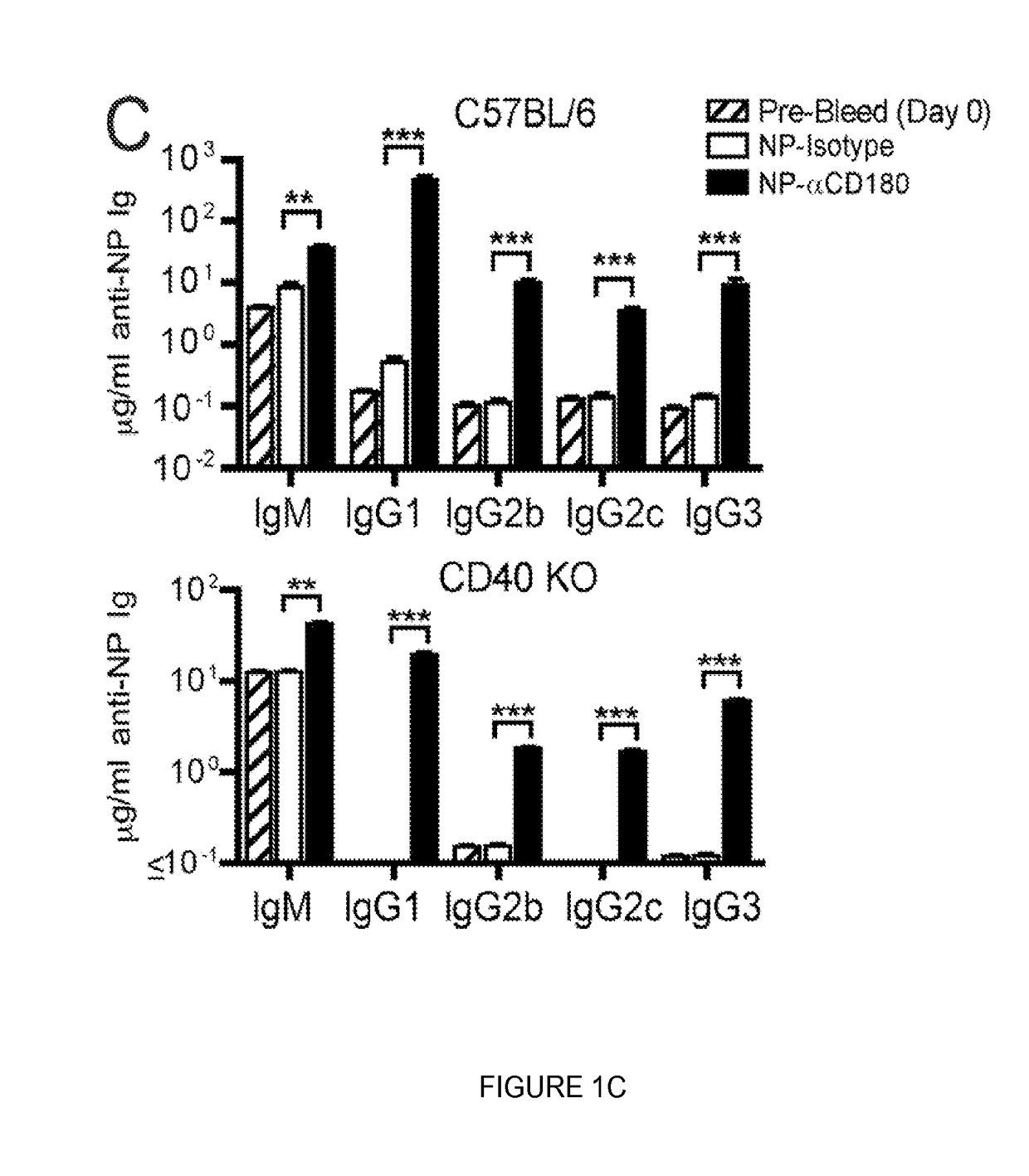 Compositions and methods for antigen targeting to CD180