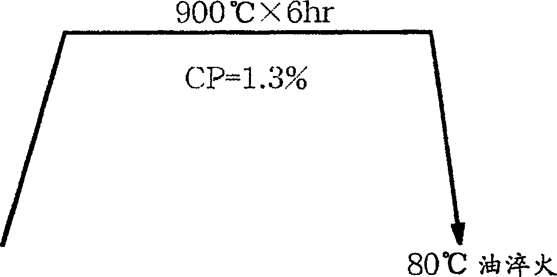 Rolling-sliding elements and process for production of the same