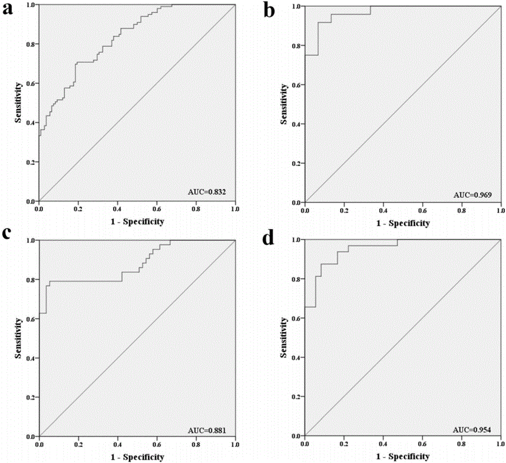 Serum miRNA marker related to auxiliary diagnosis for squamous lung cell carcinoma and application thereof