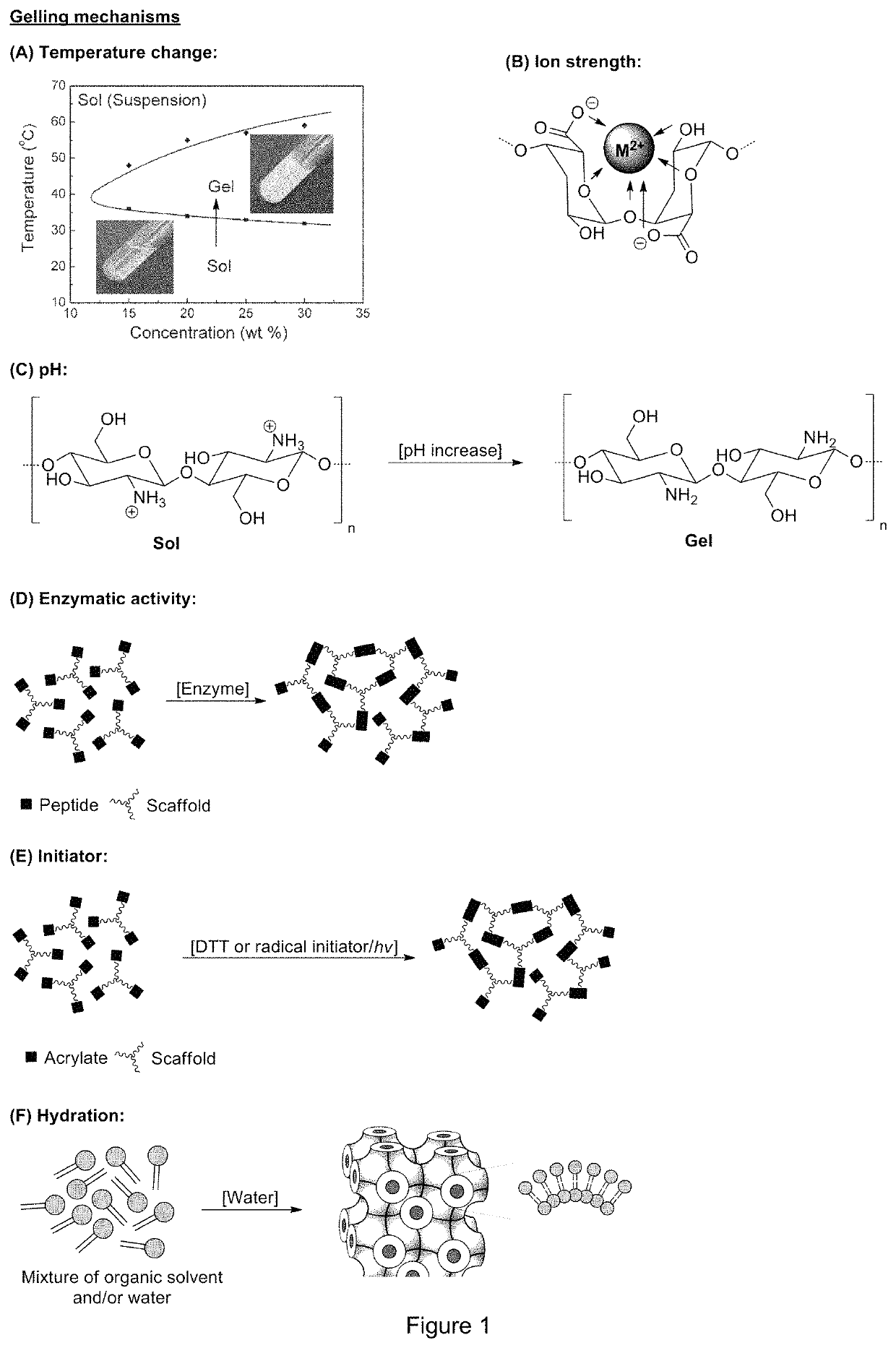 Gel formulations for guiding radiotherapy