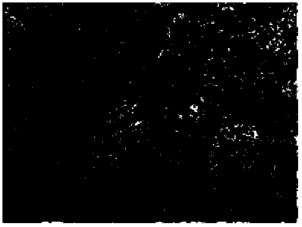 Method for producing ocean engineering steel plate with low compression ratio, thick specification and ultrahigh strength