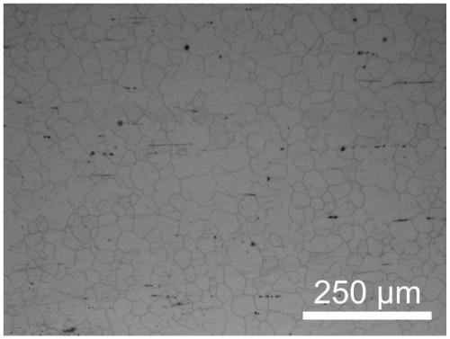 A preparation method of nano-silica/ferroferric oxide magnetic contrast particle reinforced biomagnesium-based composite material