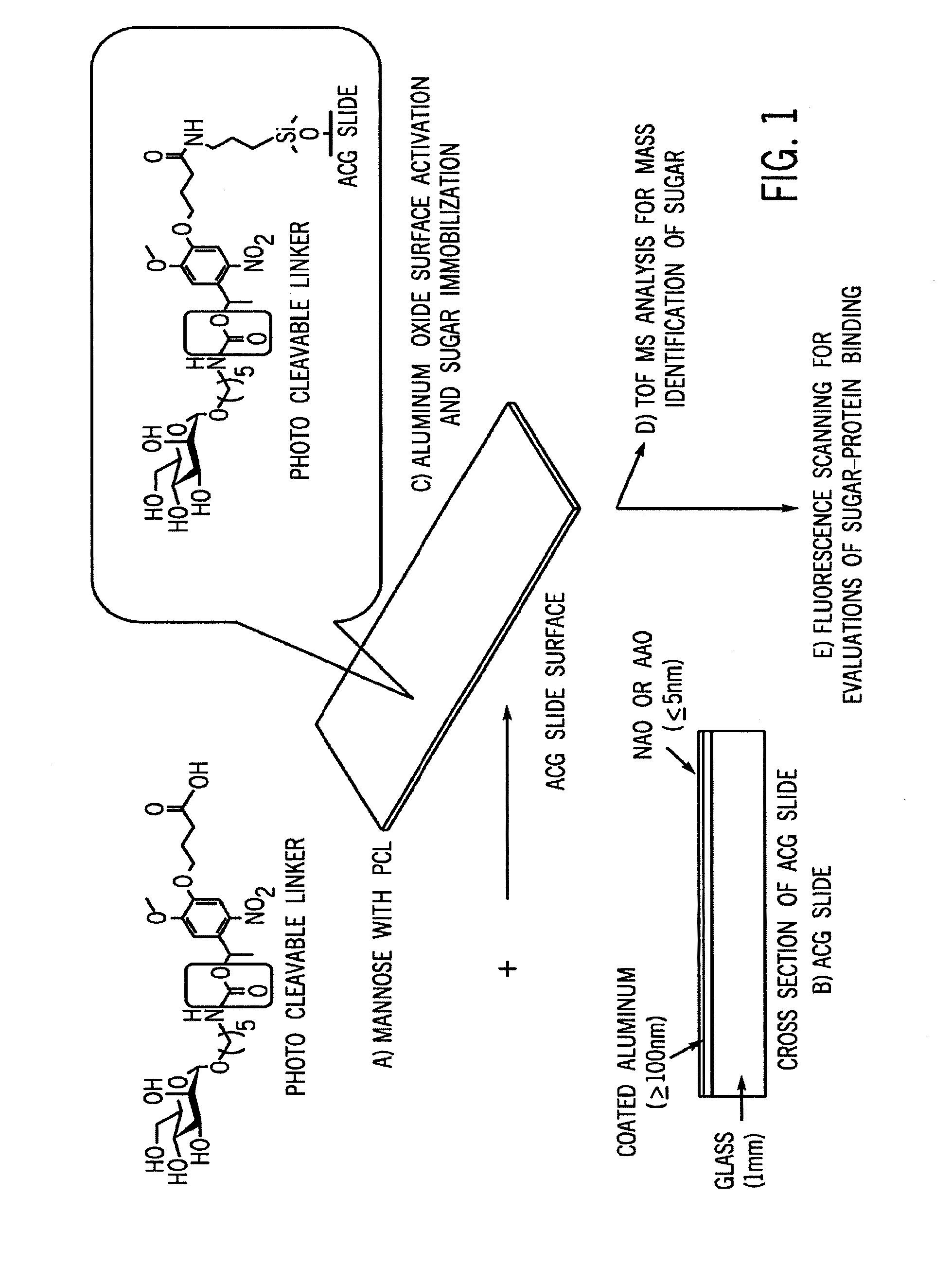 Glycan arrays on ptfe-like aluminum coated glass slides and related methods