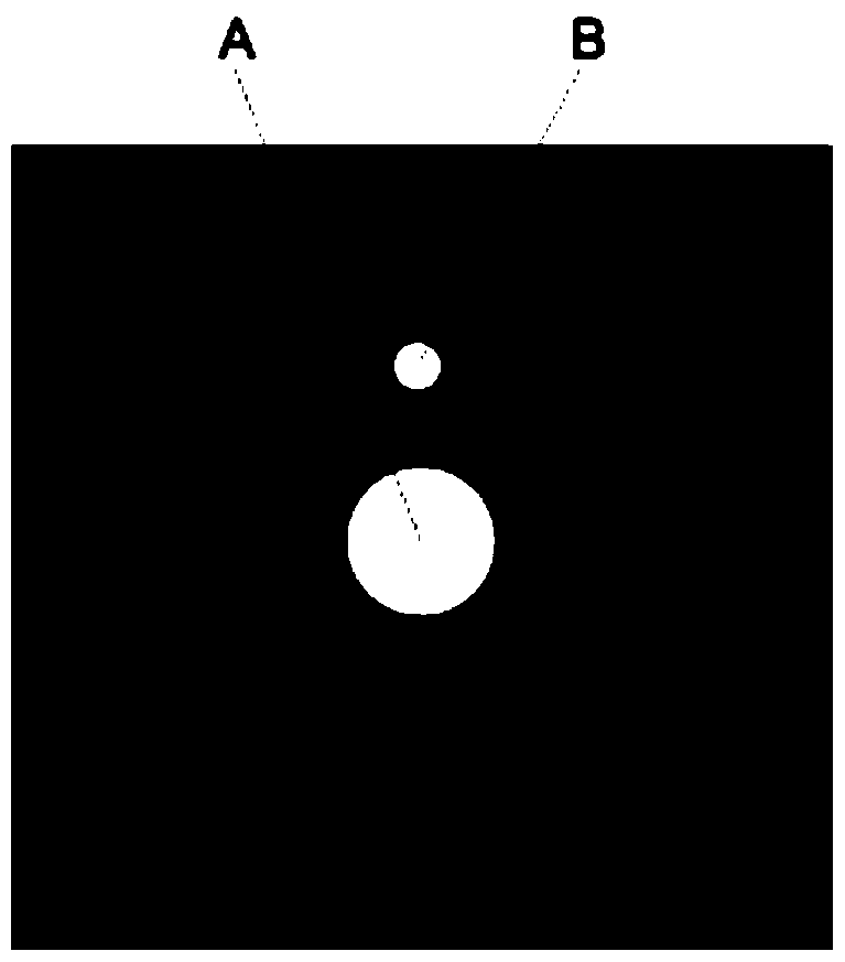 A co-channel digital holographic microscope device and method based on grating defocus