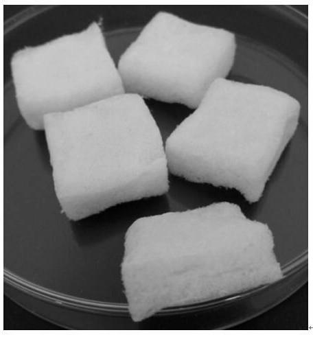 A kind of preparation method and application of spongy metal cross-linked chitosan adsorbent