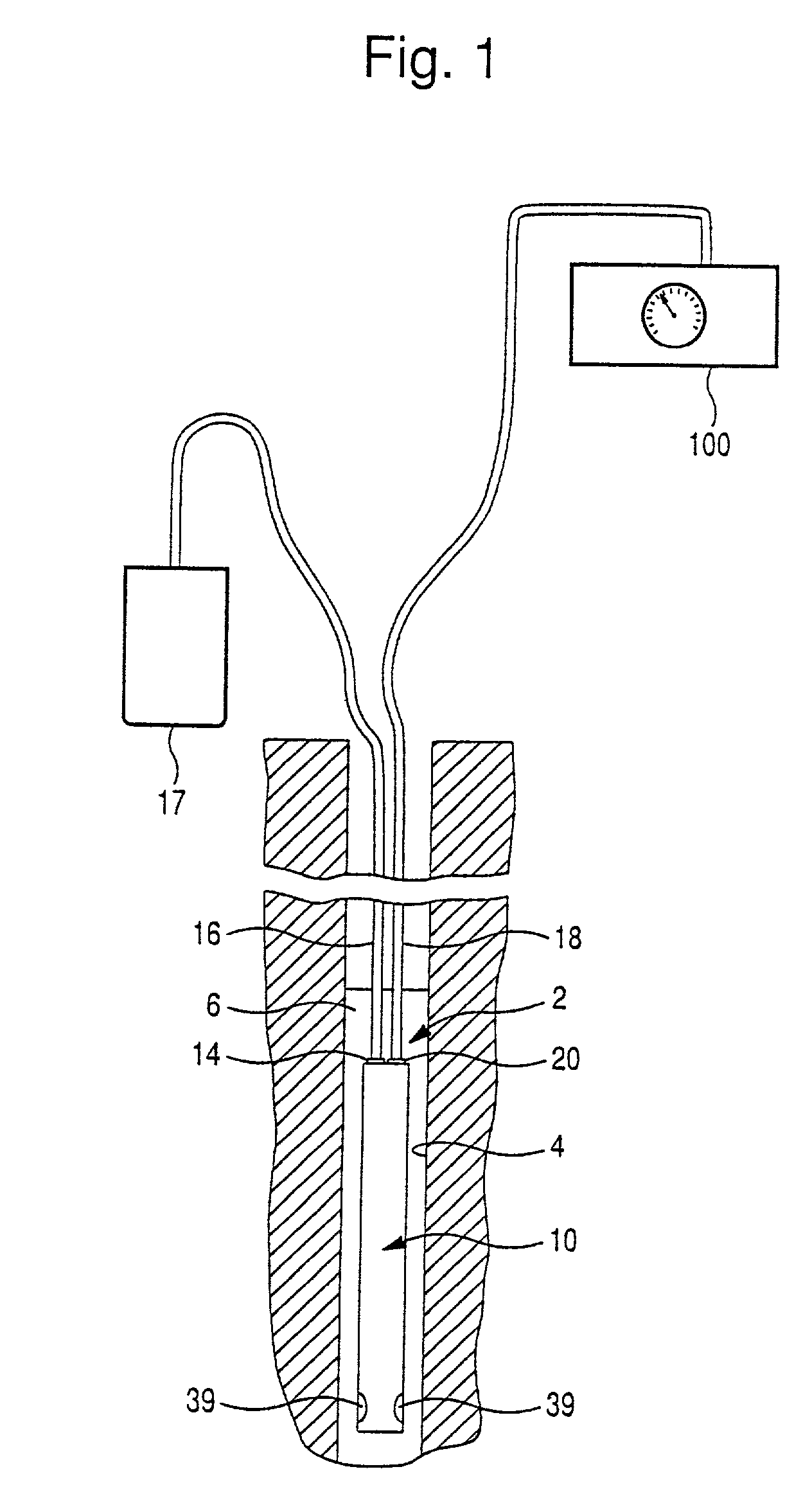 Bladder pump for liquid sampling and collecting