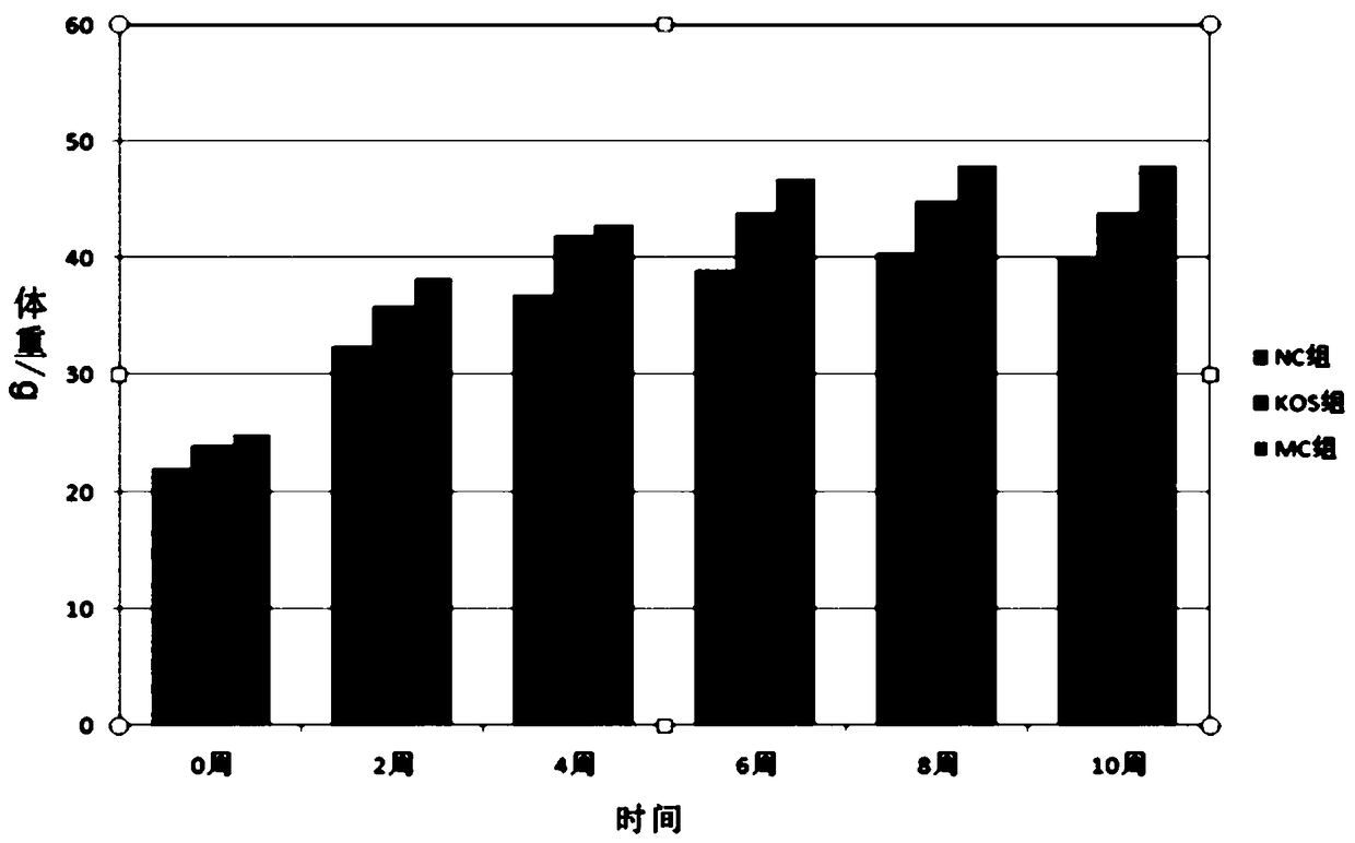 Konjac low calorie noodle and preparation method thereof