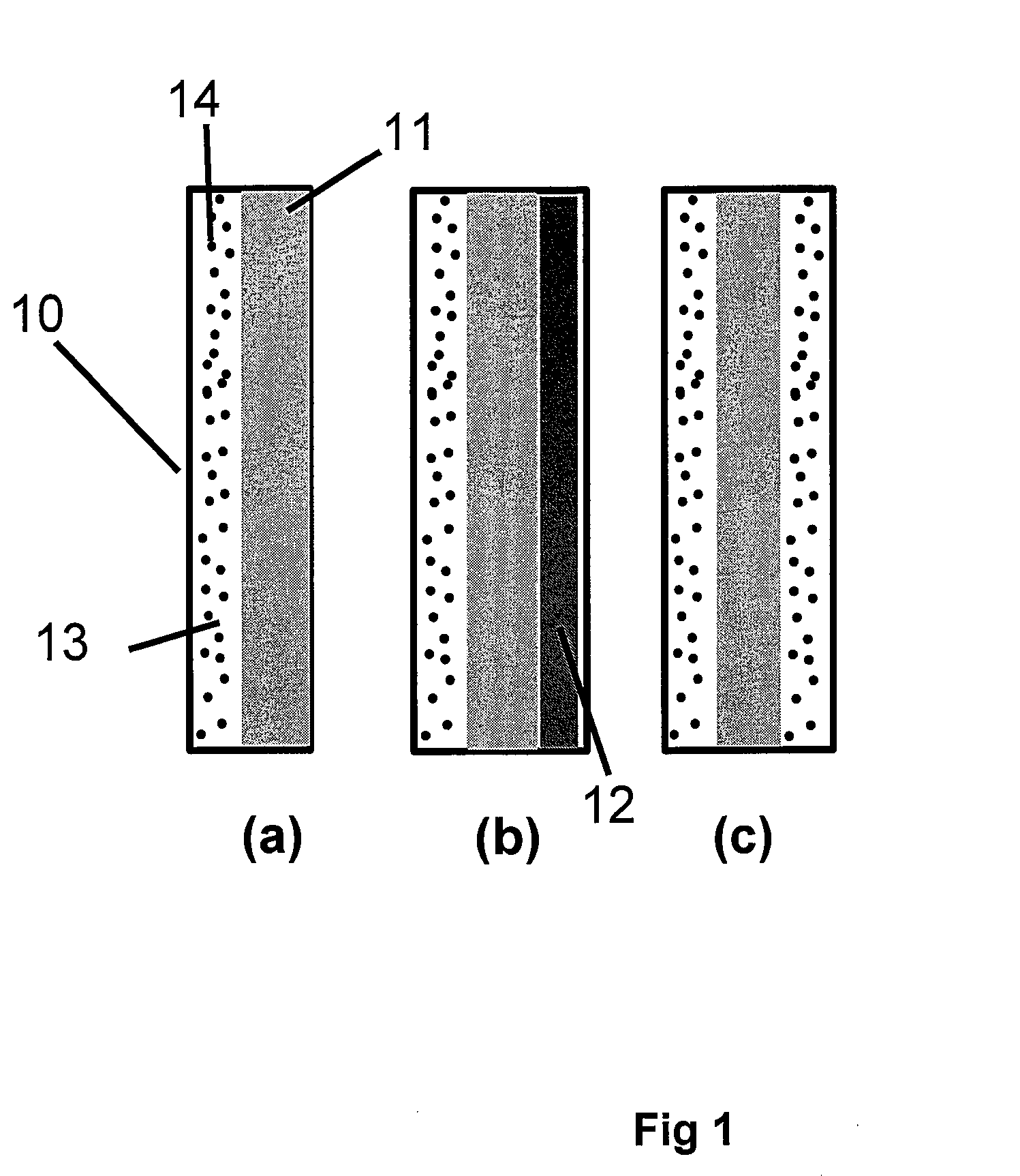 Solid Polymer Electrolyte and Process for Making Same