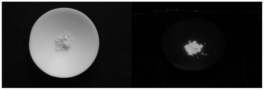 Whole-aryl-cluster luminescent polymer with microporous structure and preparation method of whole-aryl-cluster luminescent polymer