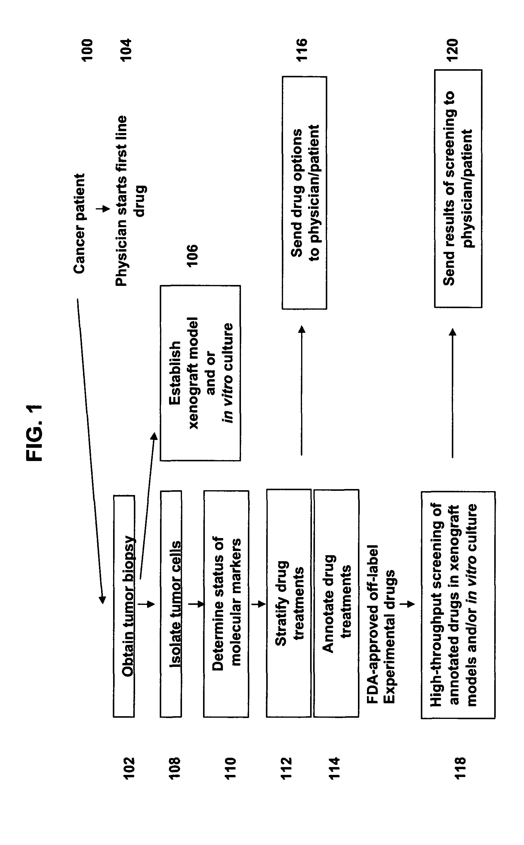Methods for stratifying and annotating cancer drug treatment options