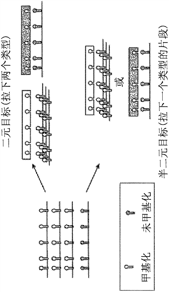 Detecting cancer, cancer tissue of origin, and/or cancer cell type