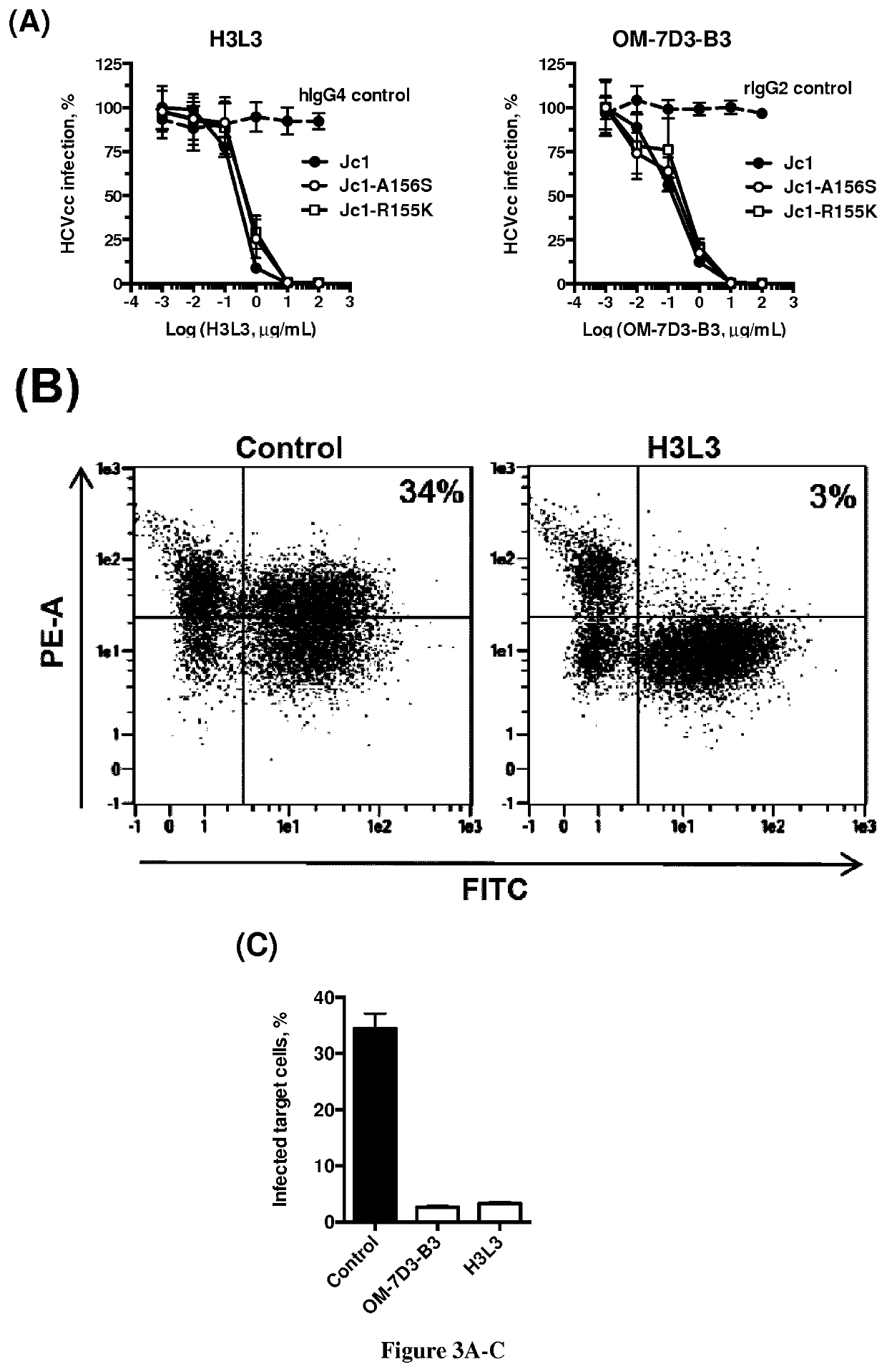 Humanized Anti-Claudin-1 Antibodies and Uses Thereof