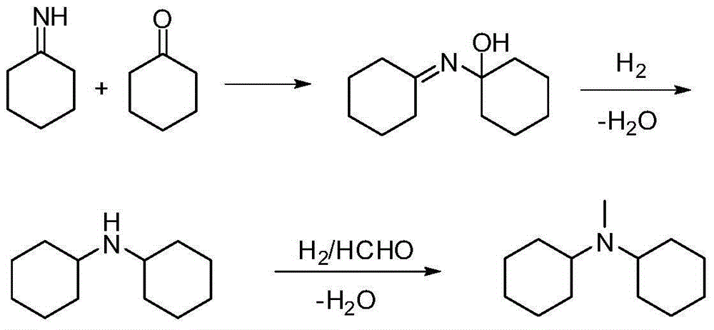 Method for preparing N,N-dimethylcyclohexylamine and N-methyl-dicyclohexylamine