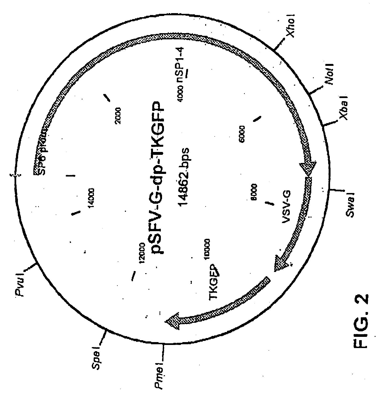 Method of preparing a treatment product, treatment product and a plasmid construct