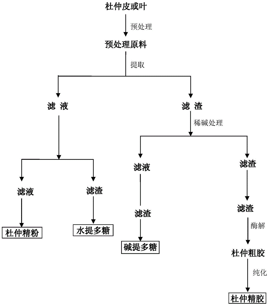 A kind of co-production extraction and separation method of eucommia fine powder, eucommia polysaccharide and eucommia gum