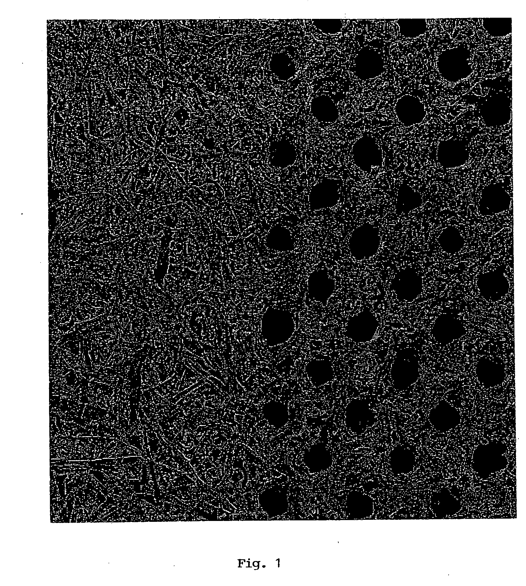 Transparent paper and method of making same