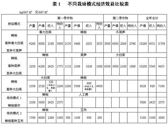 Three-time harvest cultivation method for intercropping of peppers and spring Chinese cabbages and multi-cropping of peppers and winter asparagus lettuces in two seasons