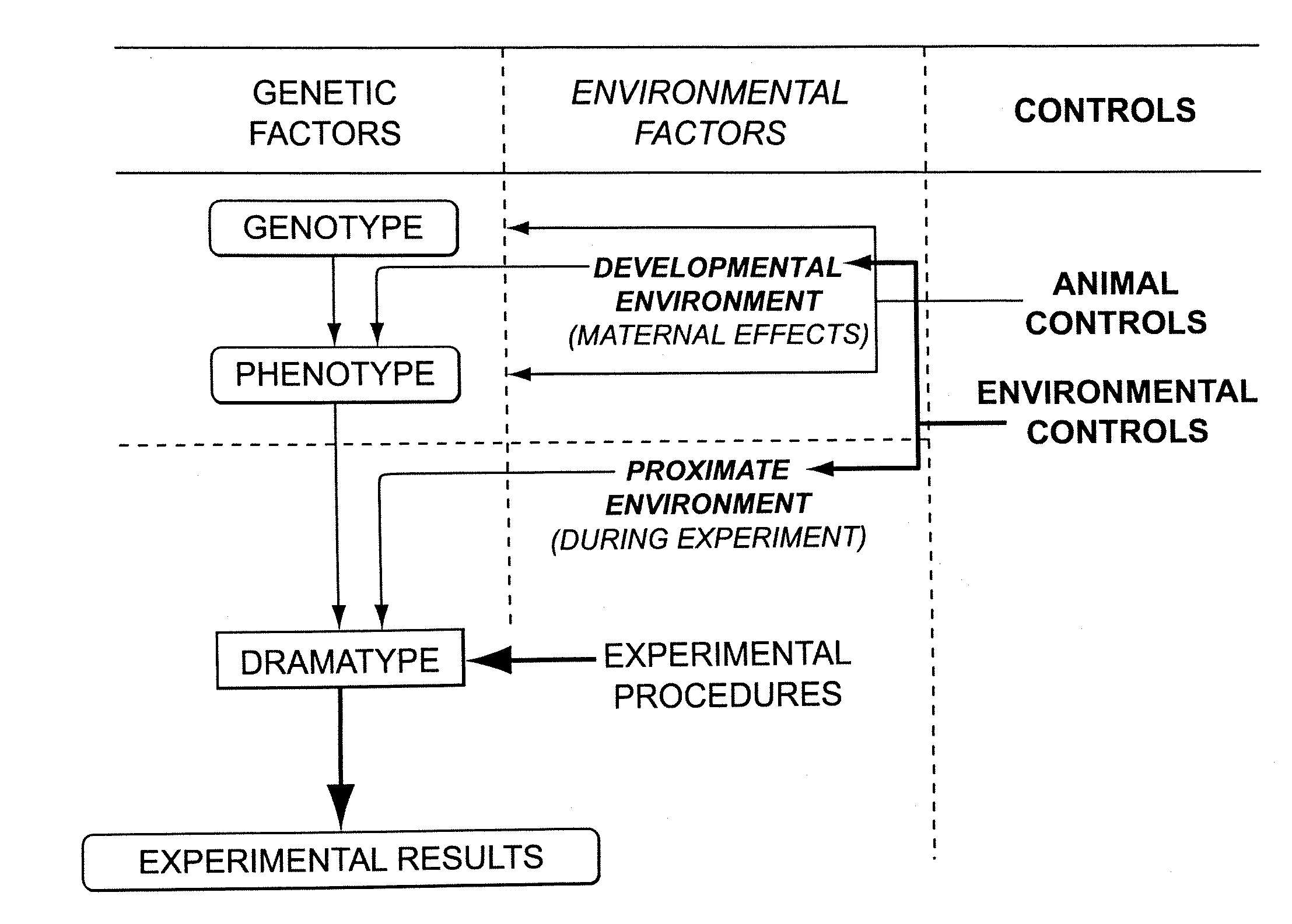 Methods for developing animal models