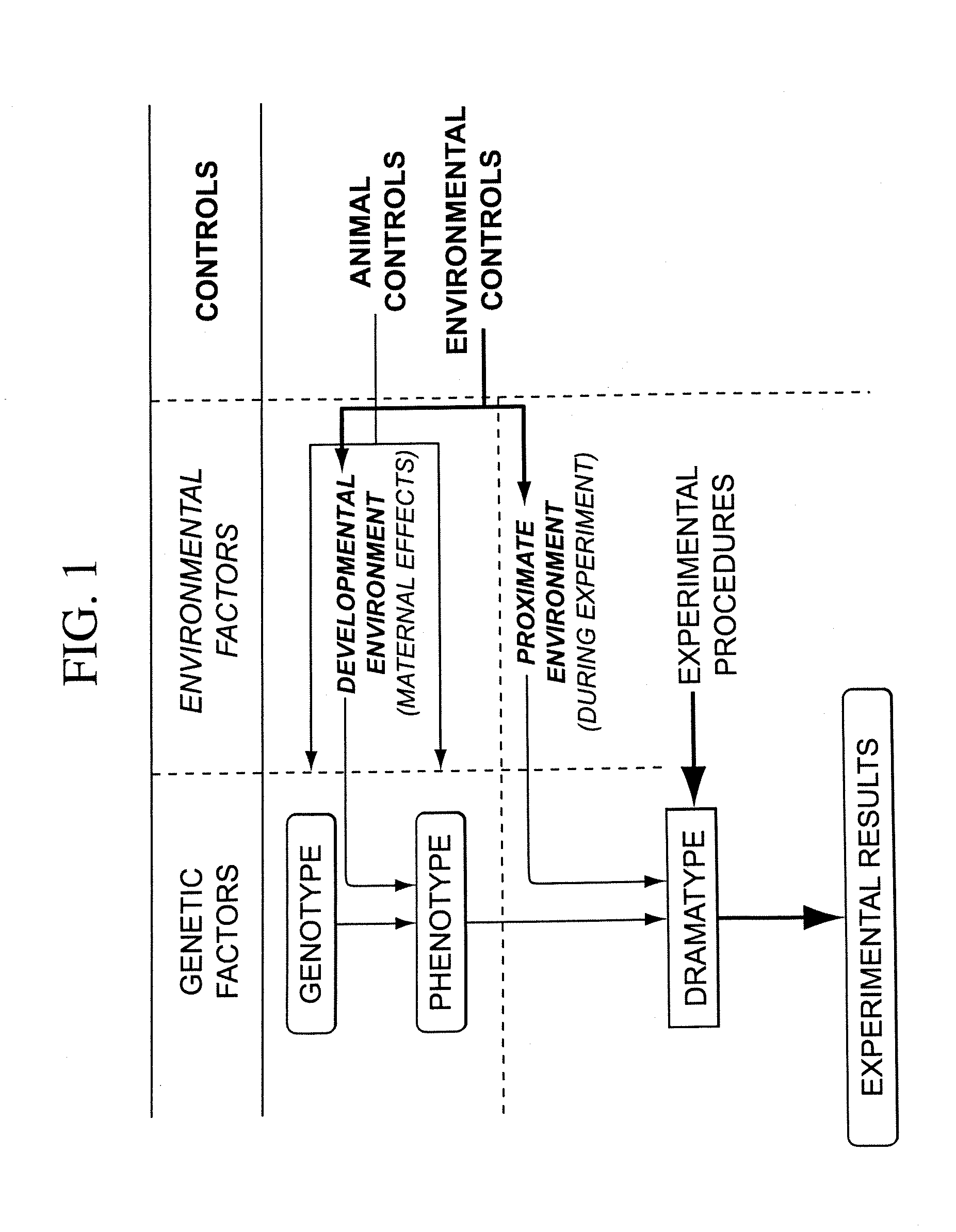 Methods for developing animal models