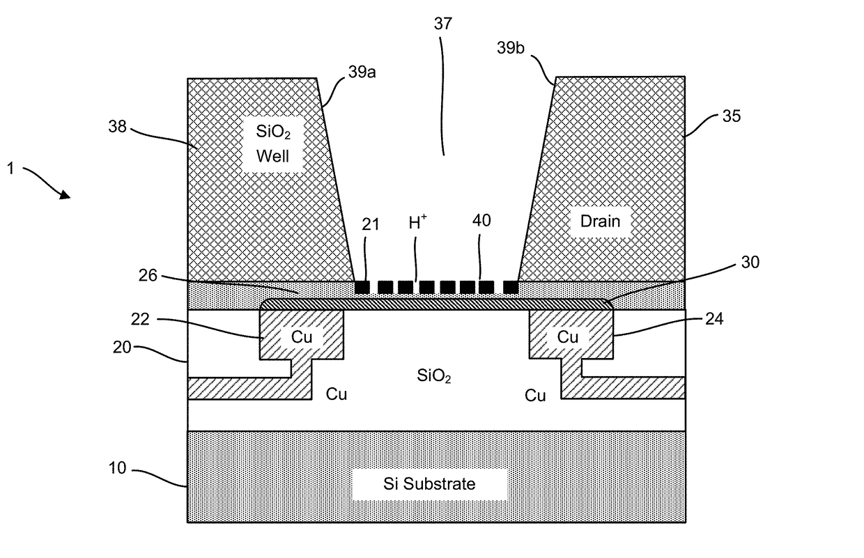 Graphene FET devices, systems, and methods of using the same for sequencing nucleic acids