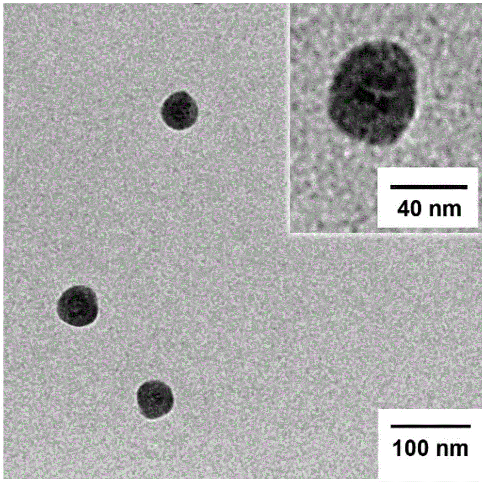 A ph- and temperature-responsive ternary molecular brush polymer and its prepared nanocapsules