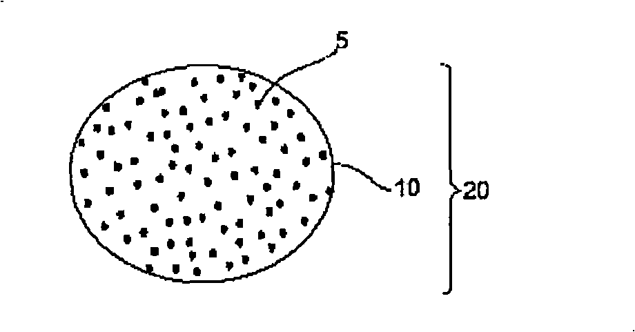 Method to remove an agent using a magnetic carrier