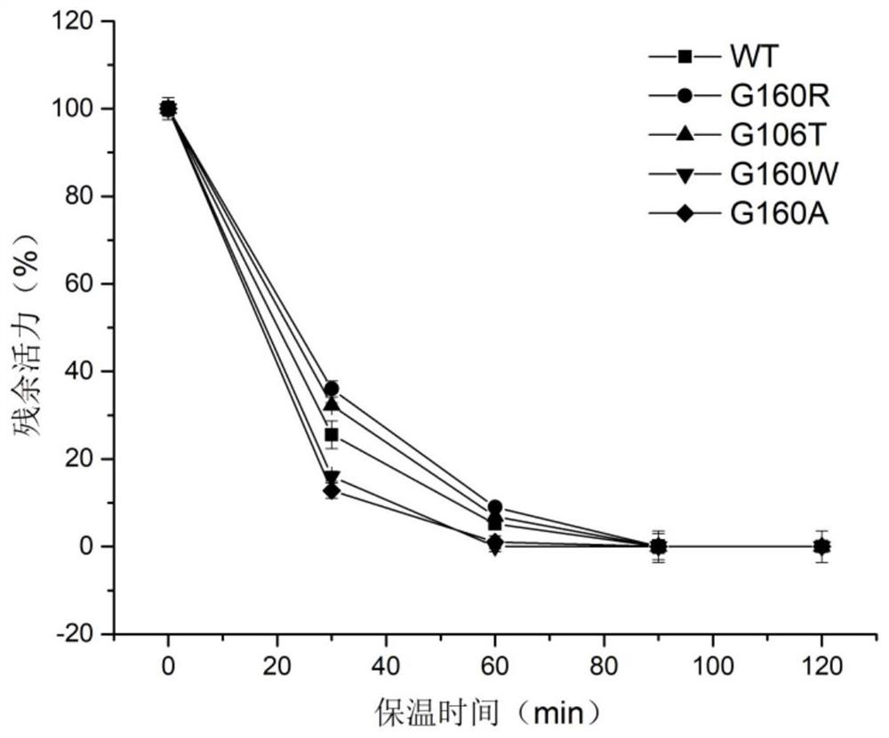 Starch branching enzyme mutant with improved catalytic activity and application thereof