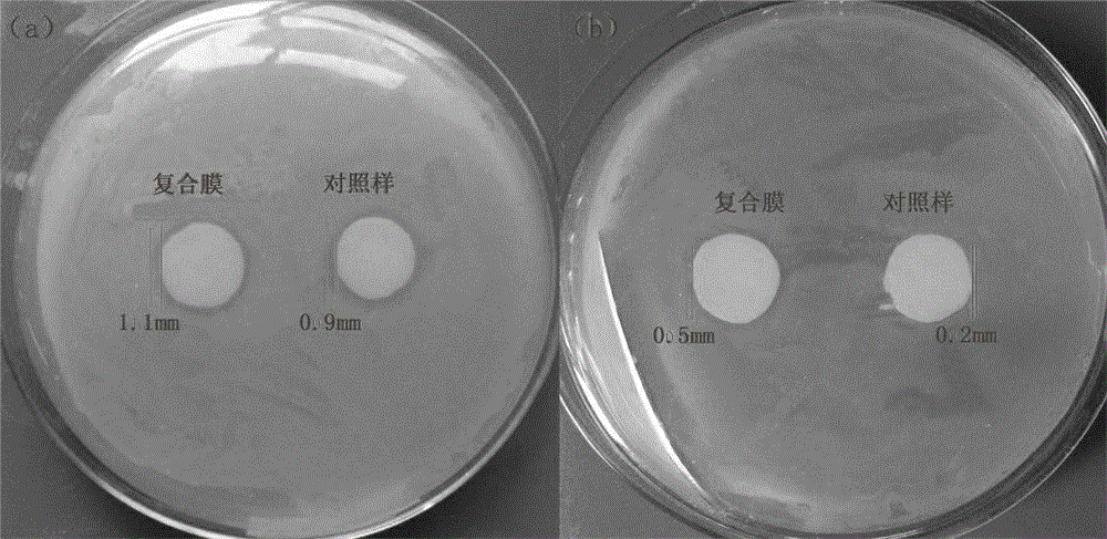 Antibacterial medical dressing film carrying nano-silver and cellulose nanocrystalline hybrid materials and preparation method thereof