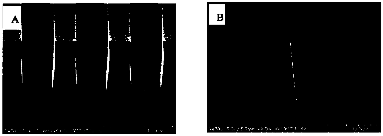 A photoresist, a preparation method and application thereof, and a photolithography method