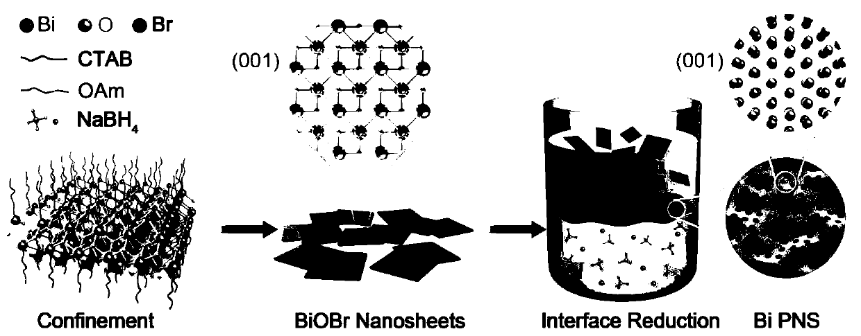 Nanometer bismuth catalyst and preparation method and application thereof