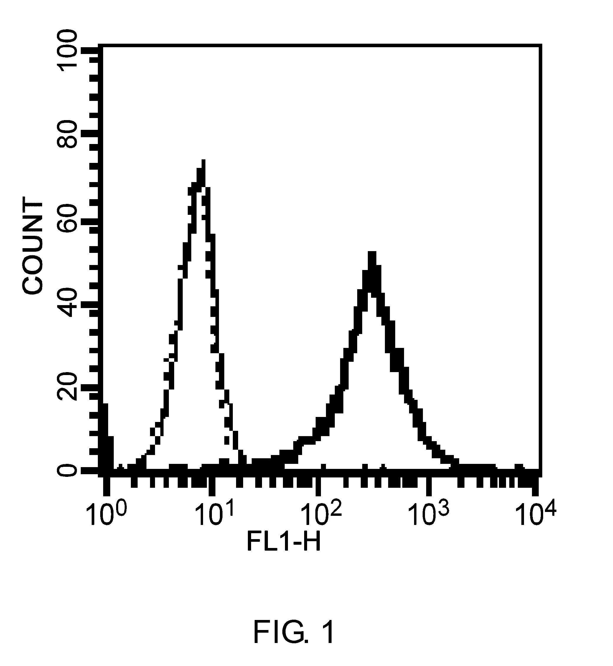 Chimeric Fc-gamma Receptor and Method for Determination of ADCC Activity by Using the Receptor