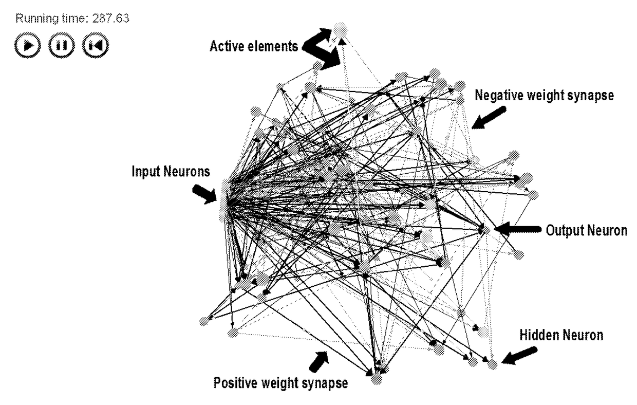 Method and apparatus for constructing a neuroscience-inspired artificial neural network with visualization of neural pathways