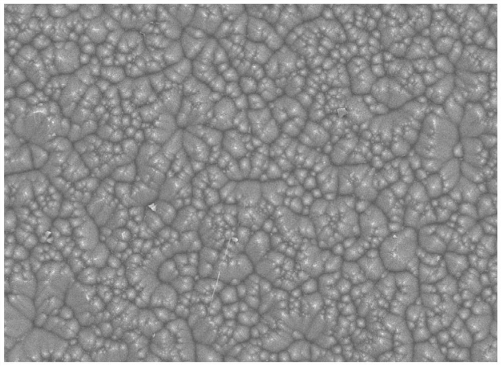 Monocrystalline silicon wafer texturing additive and application thereof