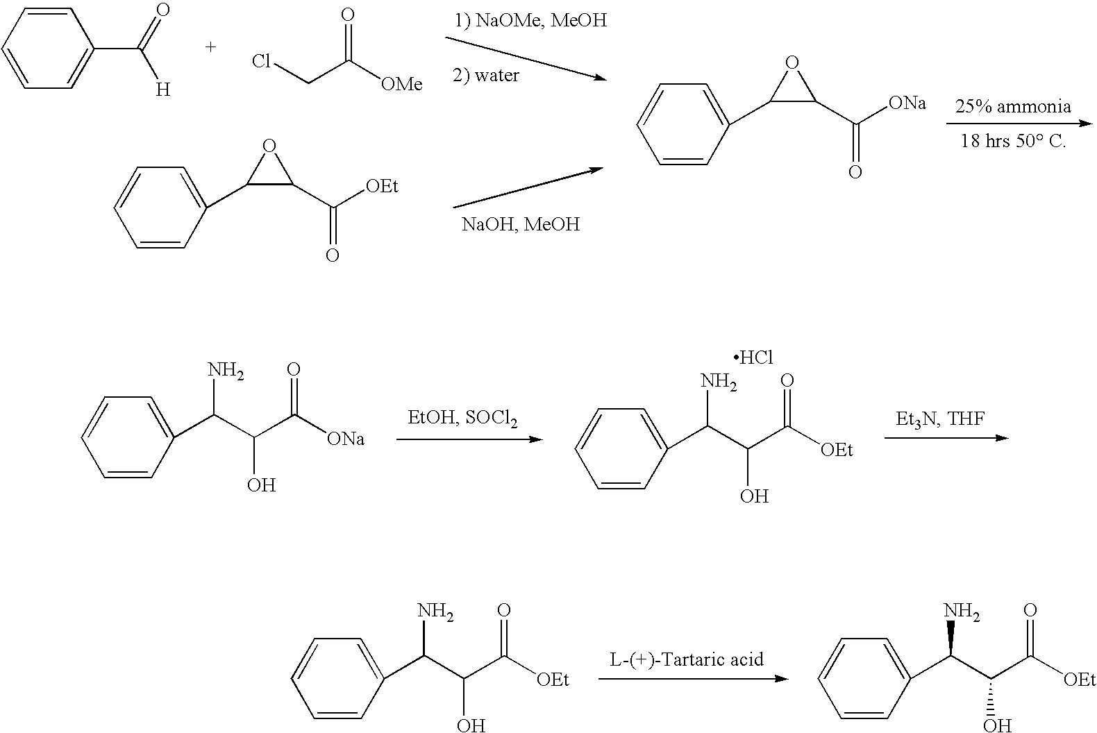 Process for the production of 3-phenylisoserine