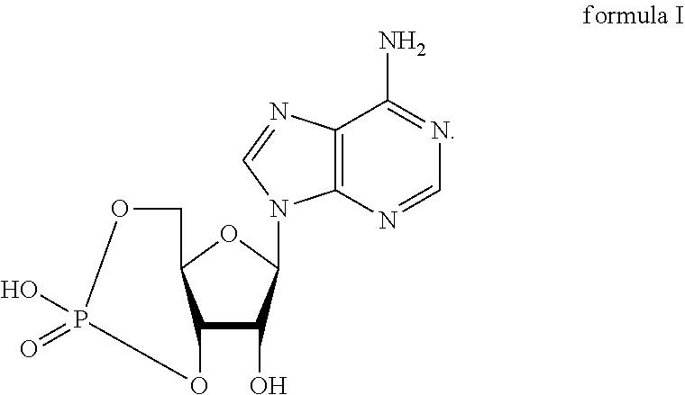Use of cyclic adenosine monophosphate, derivative or prodrug thereof in preparation of drug for preventing and/or treating depression