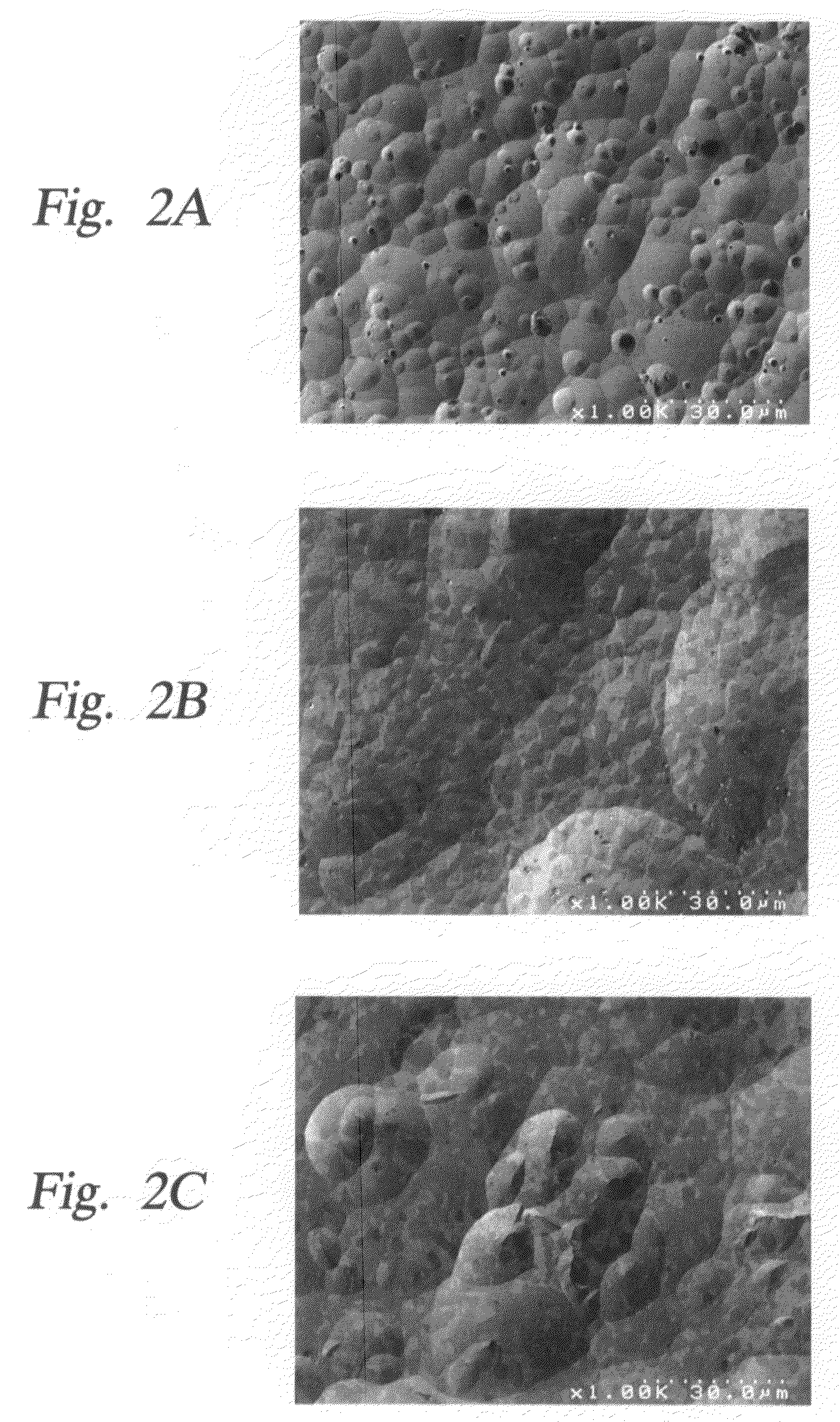 Method of reducing the erosion rate of semiconductor processing apparatus exposed to halogen-containing plasmas