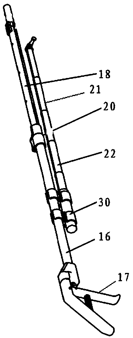 Assisted citrus picker and picking method thereof